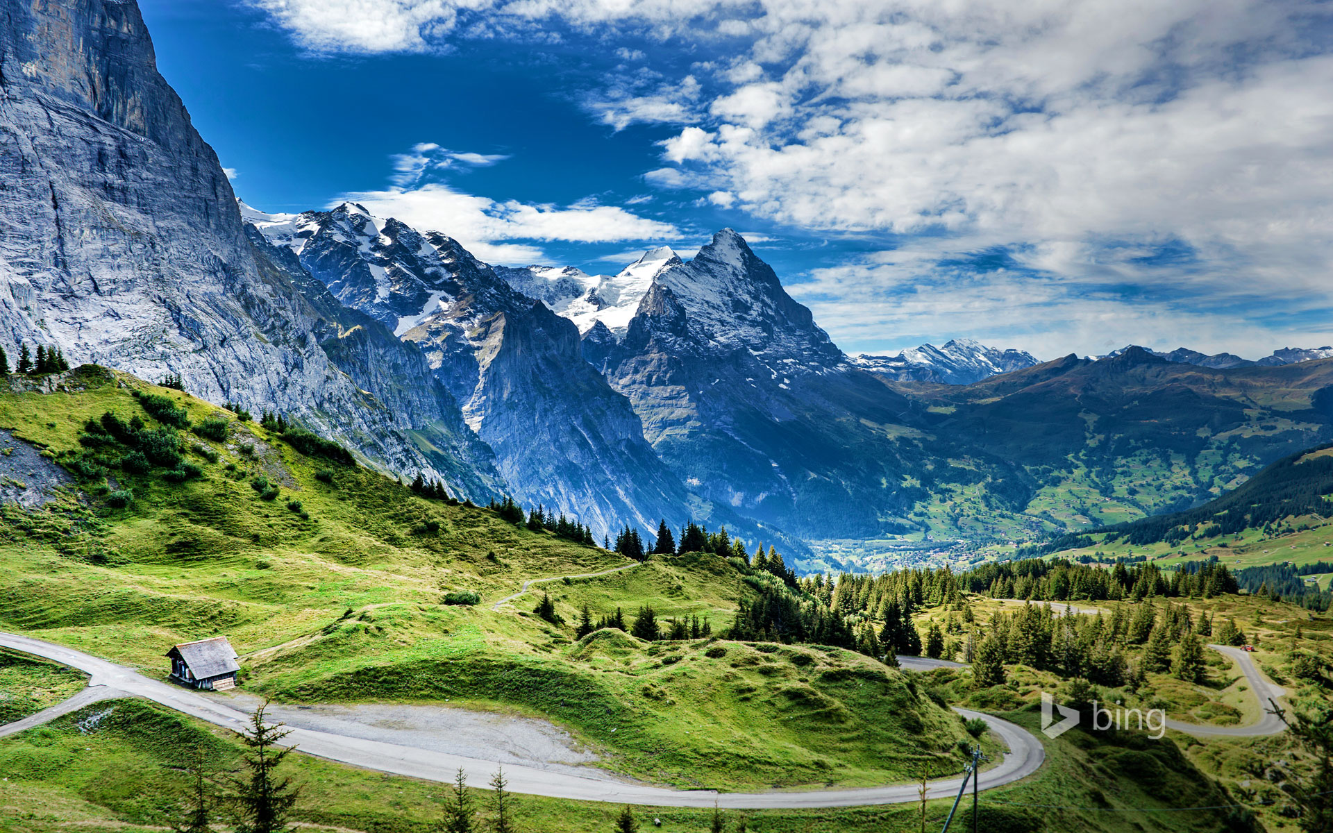 Swiss Image